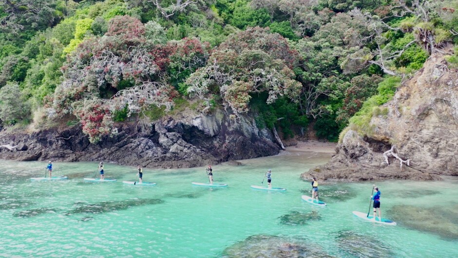 Tutukaka Coast Stand up Paddle Board Tour