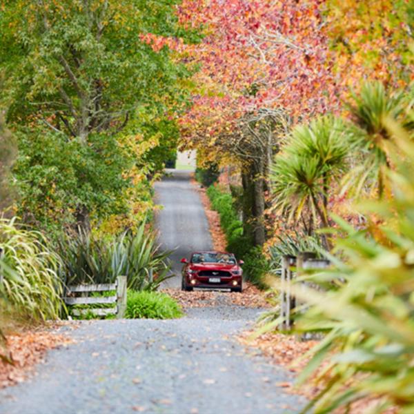 100% Pure NZ