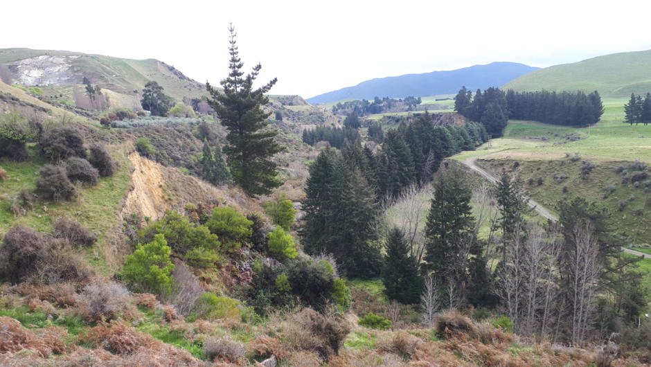 Rugged North Canterbury landscapes