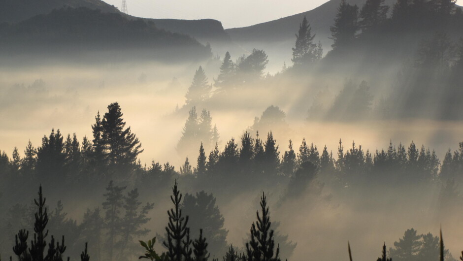 Morning view from Treetops Lodge