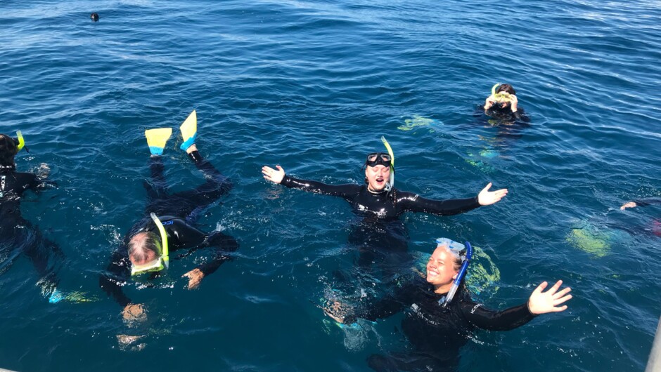 Happy swimmers after swimming with dolphins in Whakatane, Bay of Plenty
