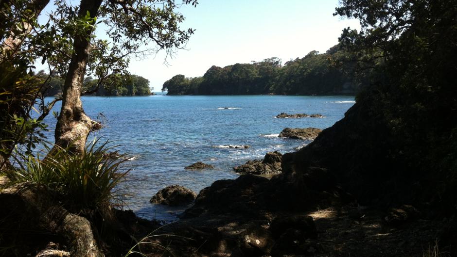 Wonderful Whanarua Bay