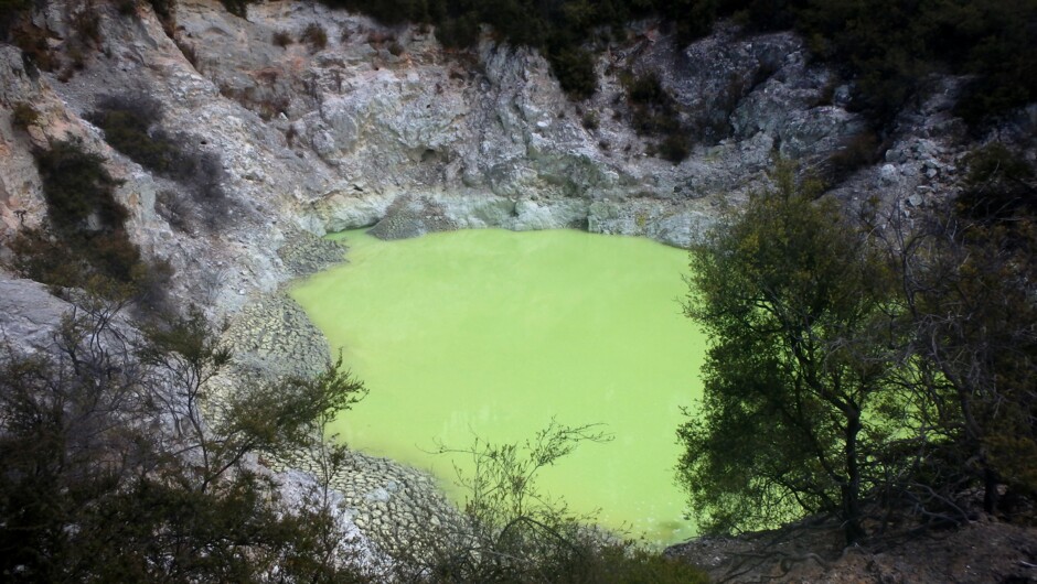 mineral pool Wai-O-Tapu