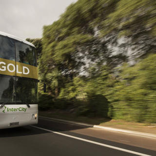 Der InterCity GOLD-Bus bietet Luxus-Fernbusfahrten zwischen den Städten und Ortschaften Neuseelands.