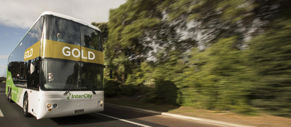 뉴질랜드의 타운과 도시 간 럭셔리 교통편을 제공하는 인터시티 골드 버스
