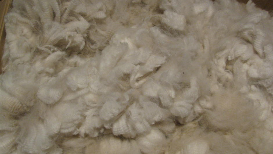 Alpaca fibre