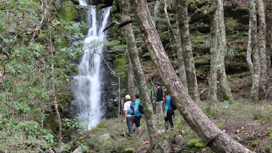 The Greenstone Valley - explore nature from your rustic hut.