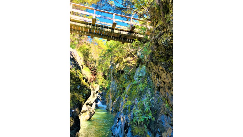 Along our nature walk, crossing 12 Mile Canyon