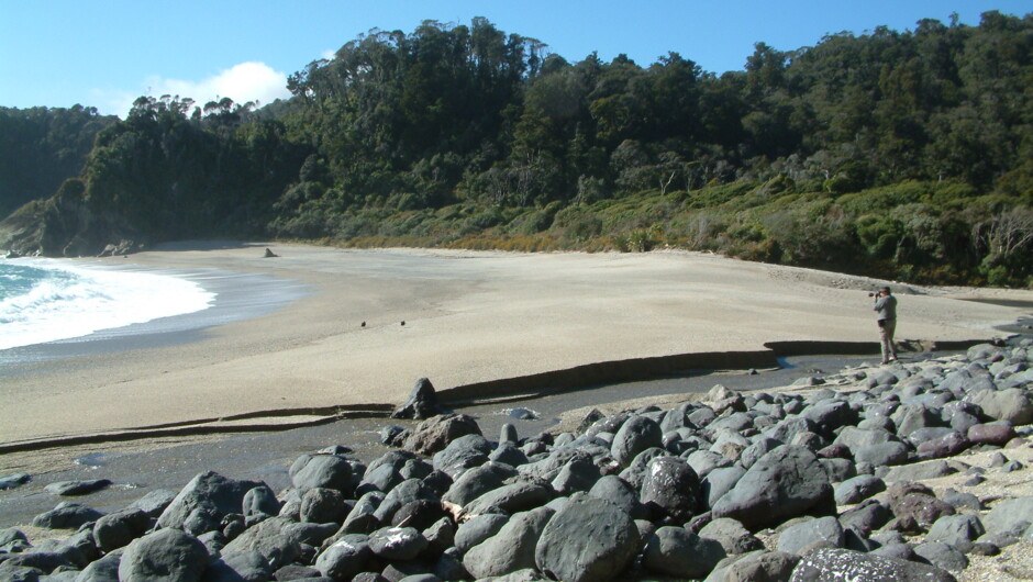 A remote beach in South Westland