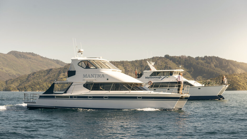 MV Odyssea & MV Mantra - two of our four Marlborough Sounds charter vessels