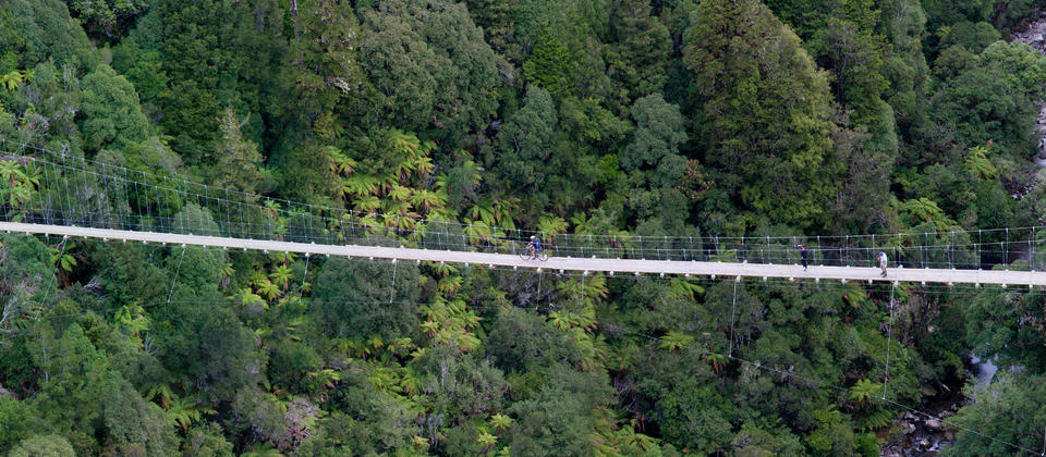 Timber Trail - Hamilton - Waikato