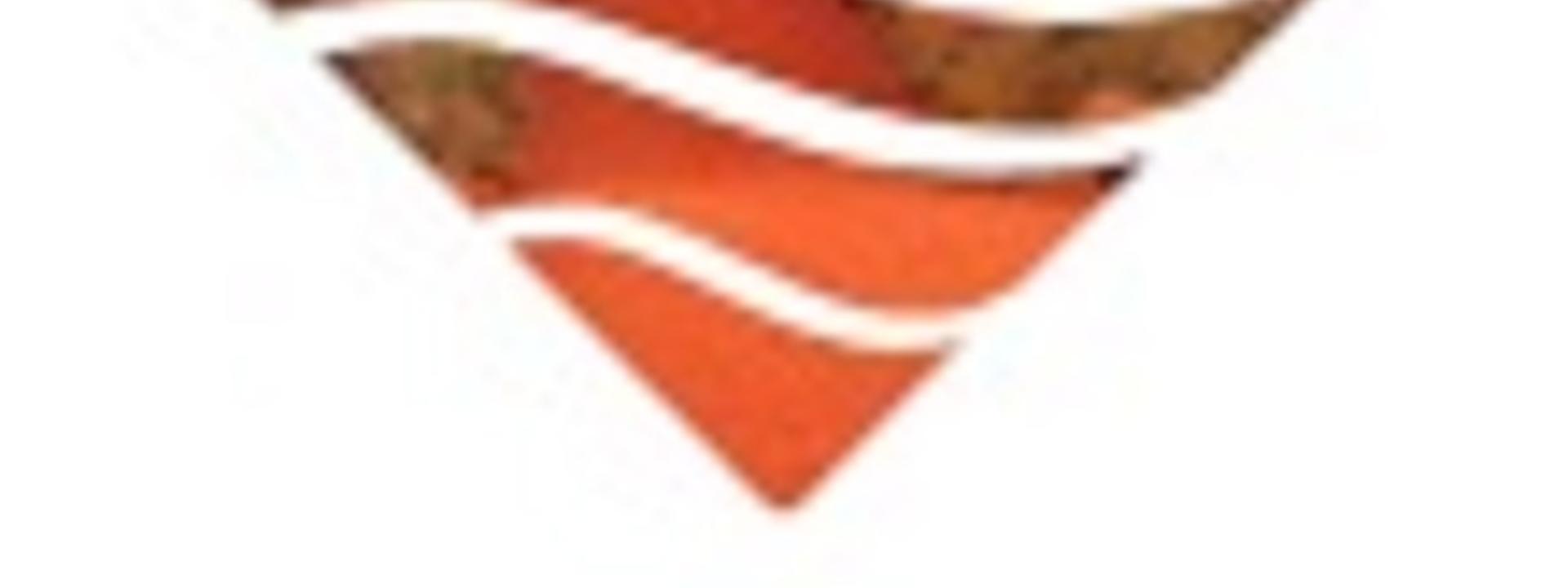 Logo: Australia Travelteam