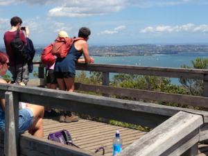 Enjoy the view of the Auckland harbour from the summit of Rangitoto Island.