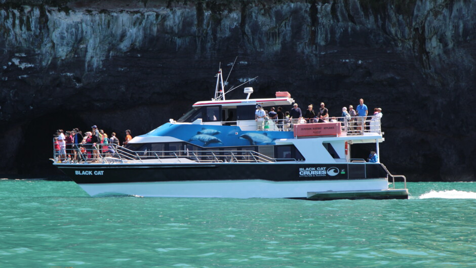 Black Cat Catamaran on the Akaroa Harbour Nature Cruise