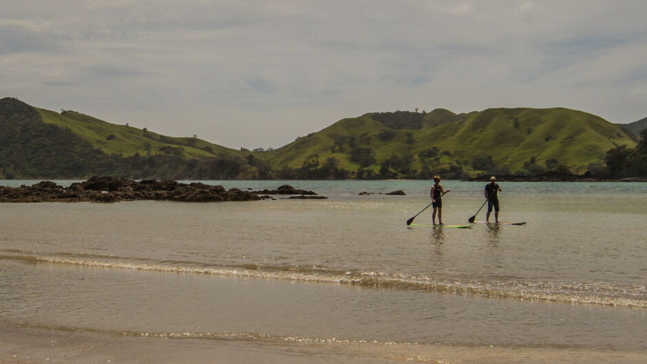 Exploring the Coromandel