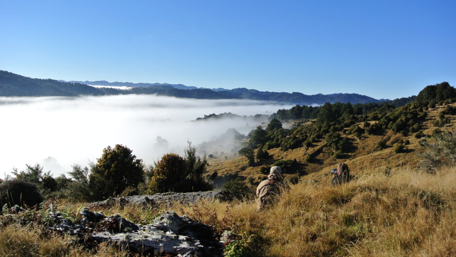 Hunting scenery at Poronui