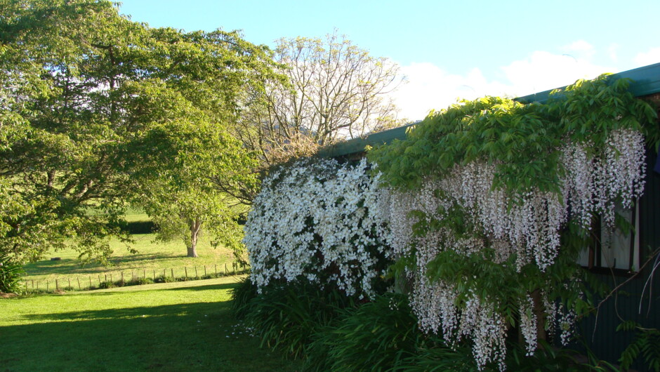 Spring at Pukeatua