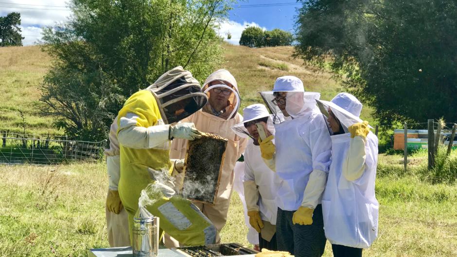Hands on beekeeping experience