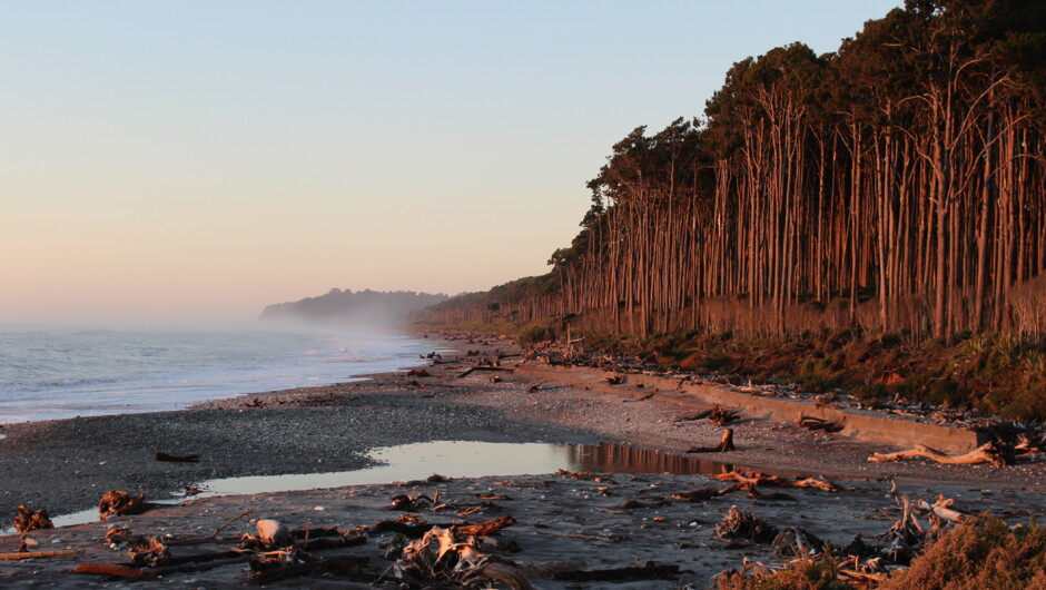 Mahitahi / Bruce Bay, South Westland