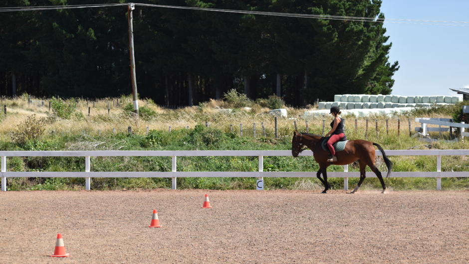 Join us for some fun filled lessons in our outdoor arena