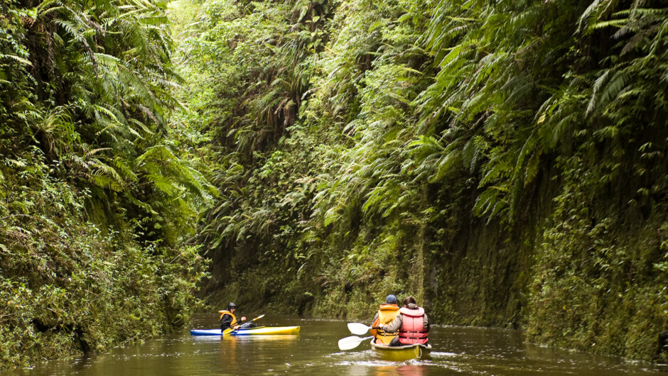 Exploring a side stream on the Whanganui River