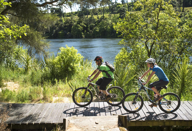 新西兰共有 18 条超级自行车道，汉密尔顿-怀卡托地区（Hamilton Waikato）拥有其中两条，是骑车游玩的完美之地。