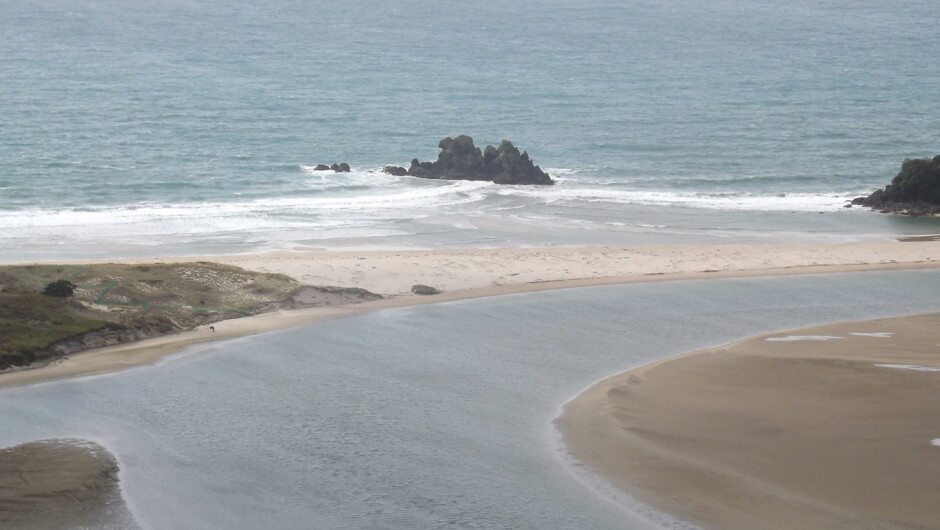 Wharekawa Bird Sanctuary,OPOUTERE BEACH,N.Z.