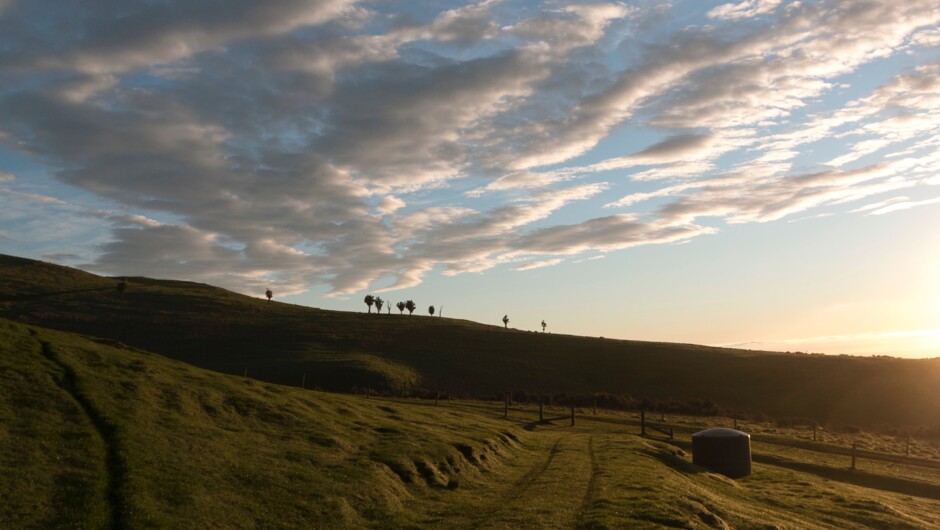 Big sky views from the Atatū PurePod