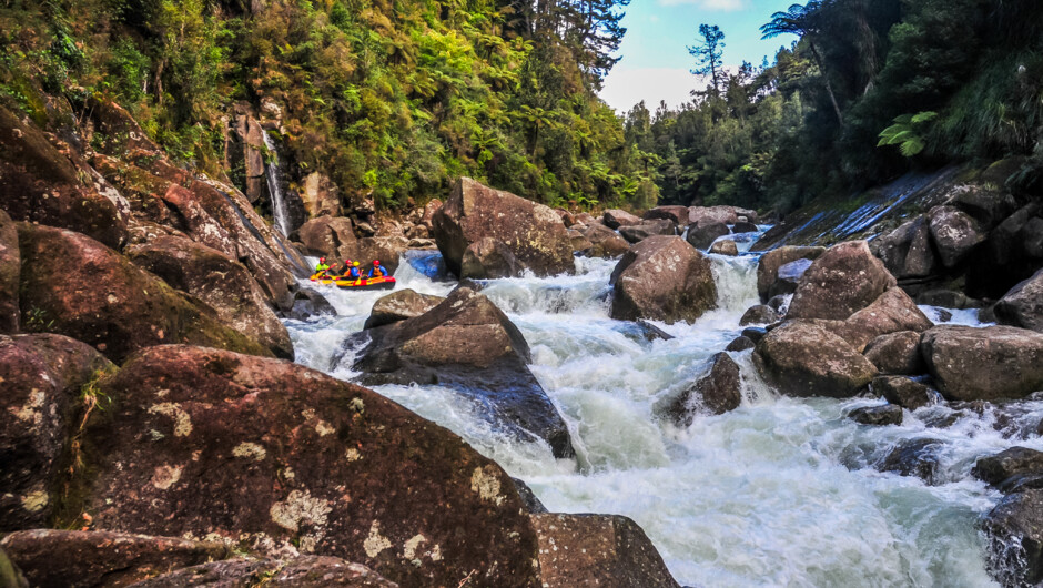 Epic rapids on the Wairoa River