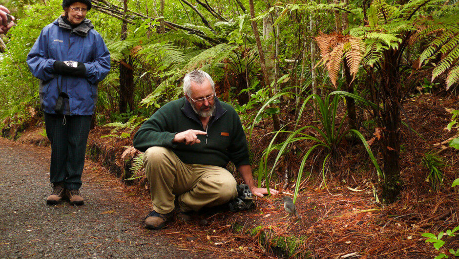 Peter, Ulva Island Guide