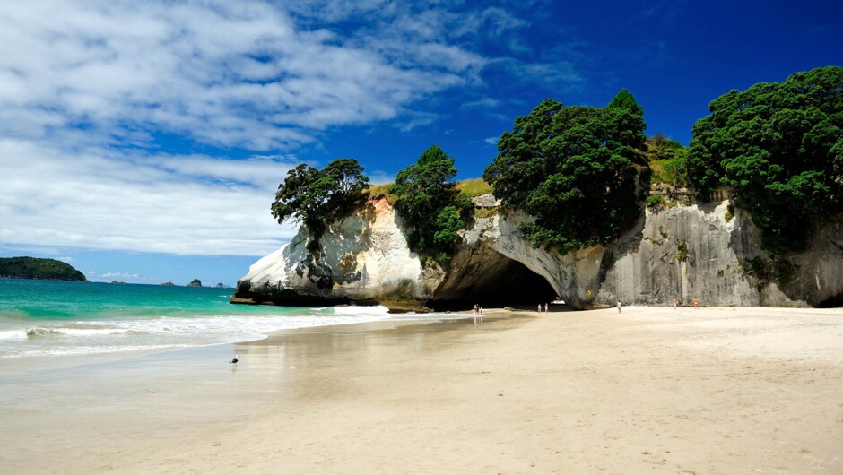 Cathedral Cove - located on the Coromandel Tour