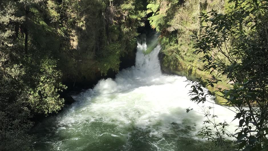 Okere Falls