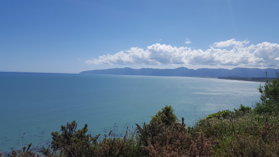 Palliser Bay from Cape Palliser lookout