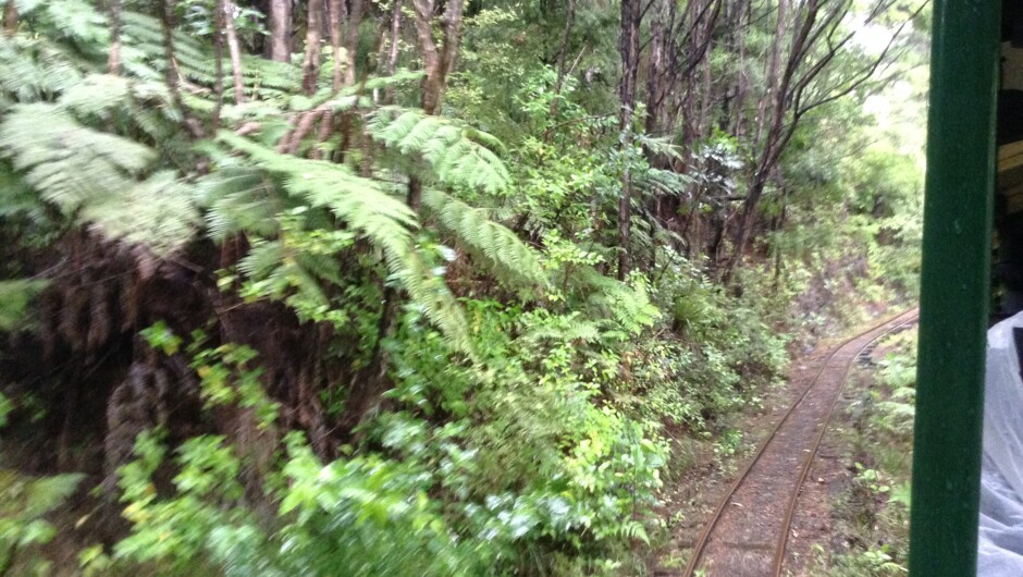 Coromandel Pennisula at Driving Creek Railway