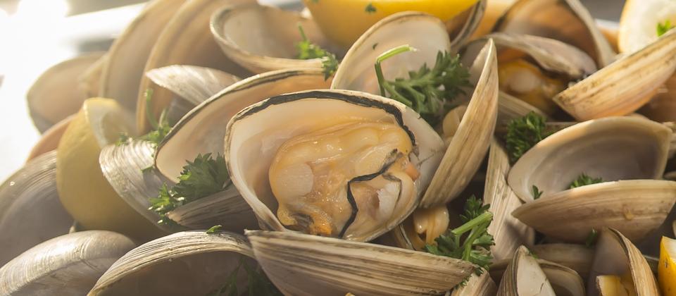 Clams are delicious and provide many natural health benefits