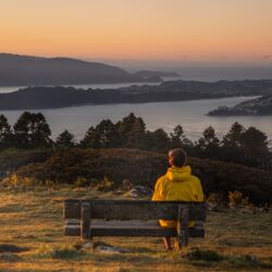 Person sitting on a bench and admiring views  at Mount Kaukau Lookout 