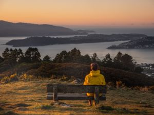 Person sitting on a bench and admiring views  at Mount Kaukau Lookout 