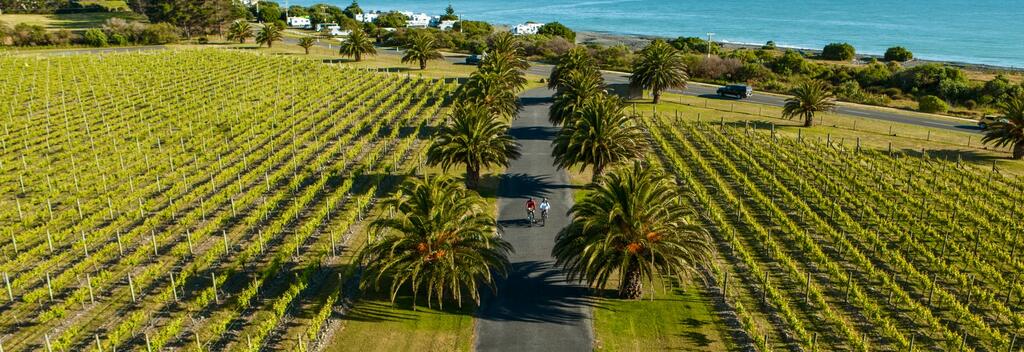 Cyclists at Elephant Hill Winery, New Zealand