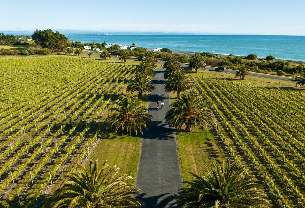 Lebhaft und belebend – der Frühling in Neuseeland dauert von September bis November. Entdecke die besten Orte und Erlebnisse im Frühling.