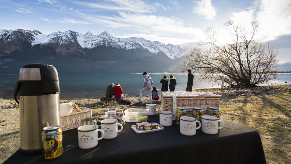 New Zealand picnic