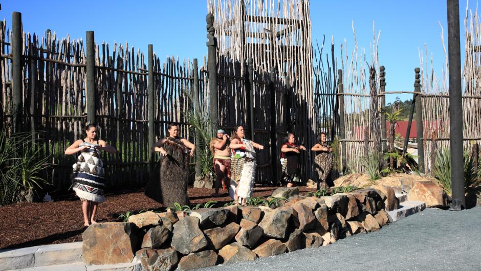 Experience Te Hana Te Ao Marama with a cultural performance that will leave you speechless.