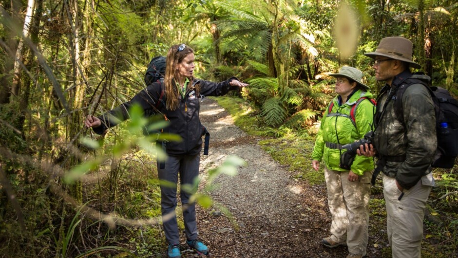 Our guides will share their vast knowledge with you on the Milford Track