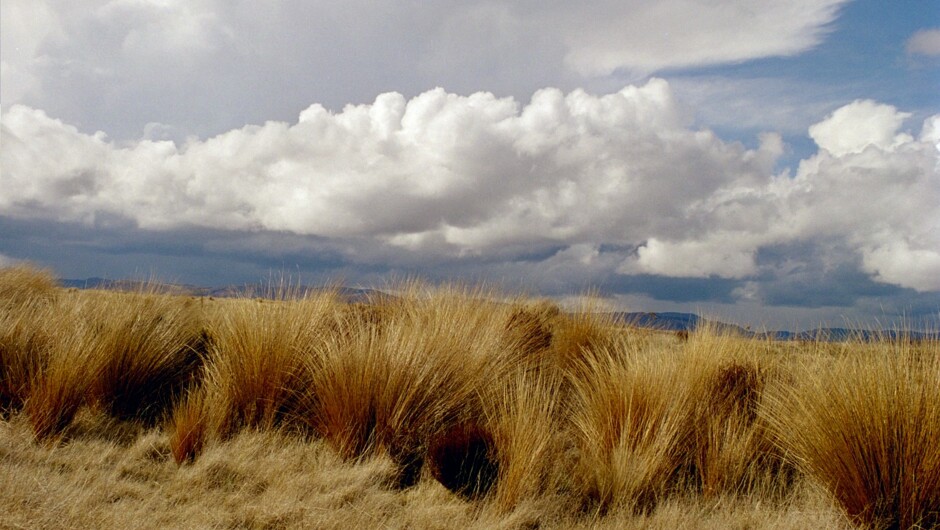 Tongariro National Park