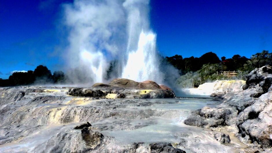 One of the many geysers in this geothermal wonderland