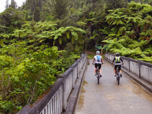 Two cyclists crossing over the Bridge to Nowhere