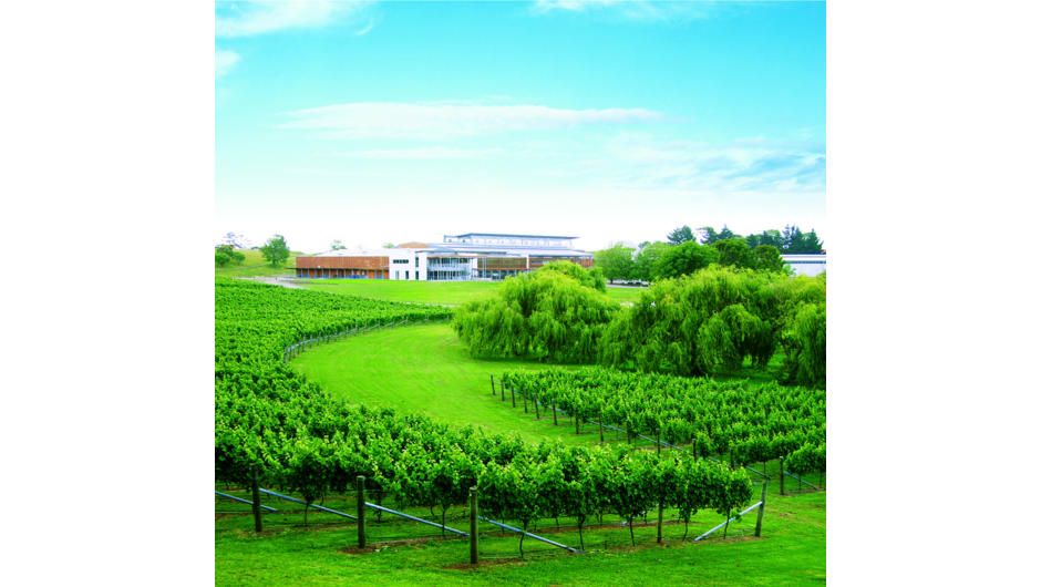 Villa Maria Auckland Winery & Head Office