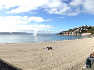 You can't beat Wellington on a good day, in picturesque O' Bay
