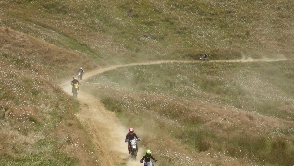 Thundercross tracks in the summer