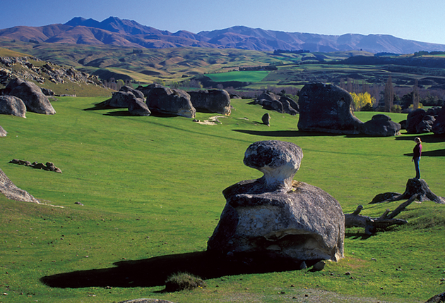 徒步前往新西兰怀塔基的石灰岩峭壁，感受令人惊叹的岩层结构。在怀塔基谷休闲放松，发现美丽的风景。