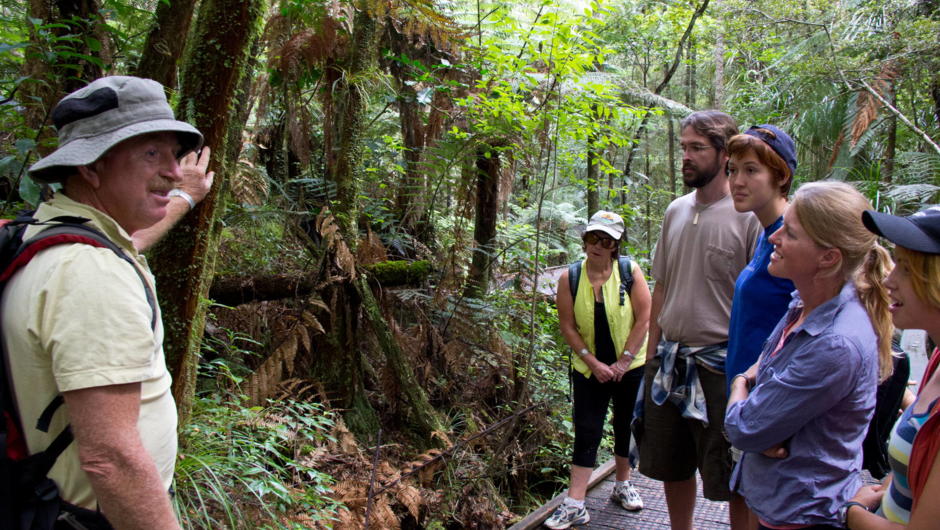 Adventure Puketi - a wonderful way to learn more of the flora, fauna and history of the giant Kauri and their Rainforest surrounds.  Bay of Islands.